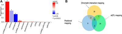 Insilico Functional Analysis of Genome-Wide Dataset From 17,000 Individuals Identifies Candidate Malaria Resistance Genes Enriched in Malaria Pathogenic Pathways